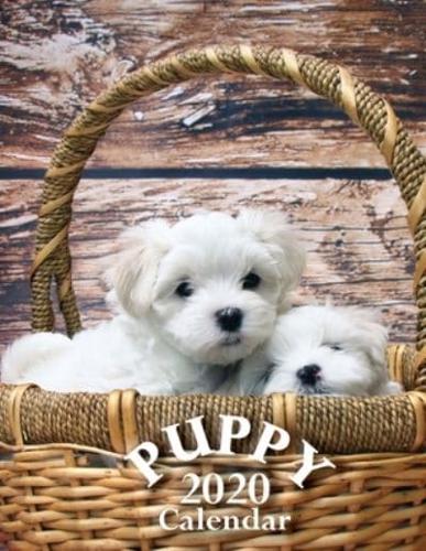 Puppy 2020 Calendar