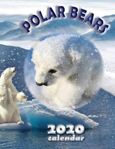 Polar Bears 2020 Calendar