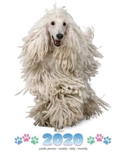 2020 Poodle Planner - Weekly - Daily - Monthly