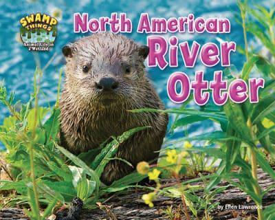 North American River Otter