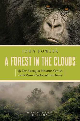 A Forest in the Clouds