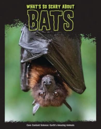 What's So Scary About Bats