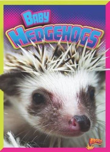 Baby Hedgehogs