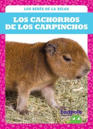 Los Cachorros De Los Carpinchos (Capybara Pups)