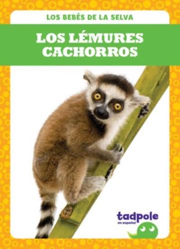 Los Lémures Cachorros (Lemur Pups)