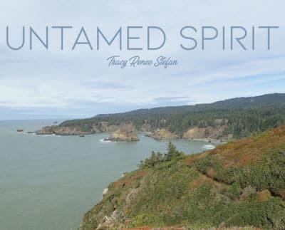 Untamed Spirit