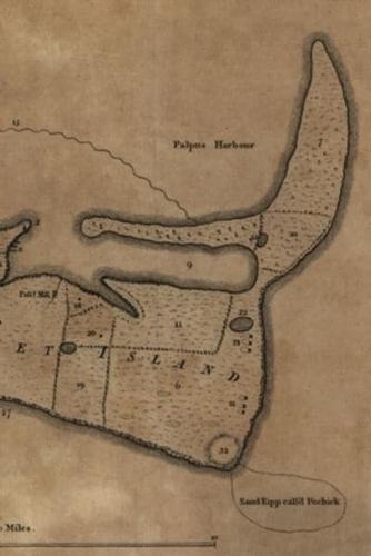 1782 Map of the Island of Nantucket, Massachusetts - A Poetose Notebook / Journal / Diary (50 Pages/25 Sheets)