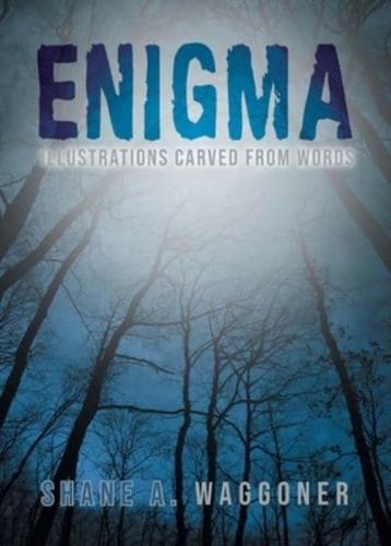 Enigma: Illustrations Carved From Words