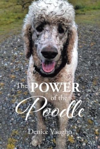 The Power of the Poodle