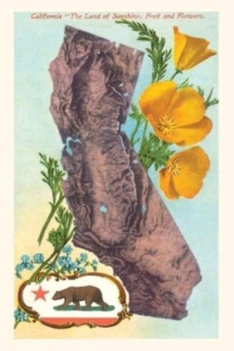 "The Vintage Journal California Map With Bear and Poppies