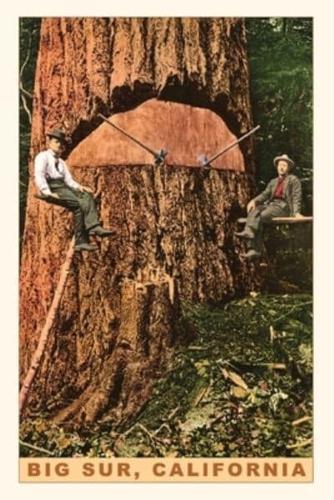 Vintage Journal Chopping Down a Redwood, Big Sur, California