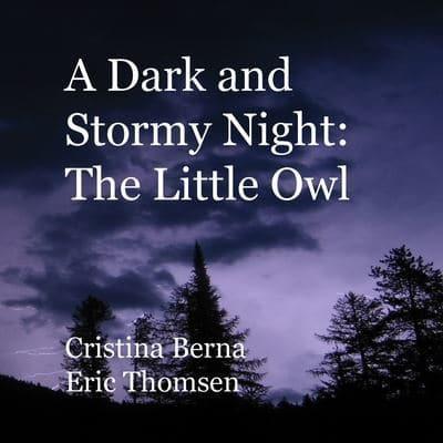 A Dark and Stormy Night