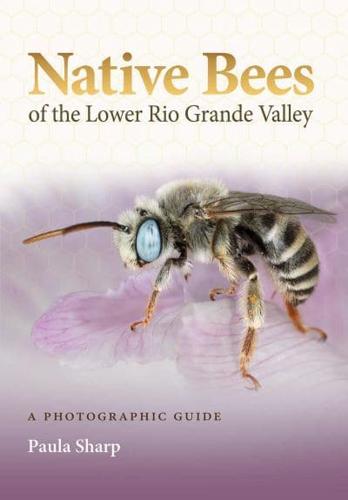 Native Bees of the Lower Rio Grande Valley
