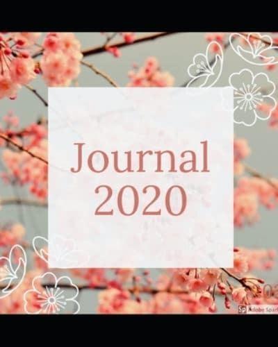 Journal 2020