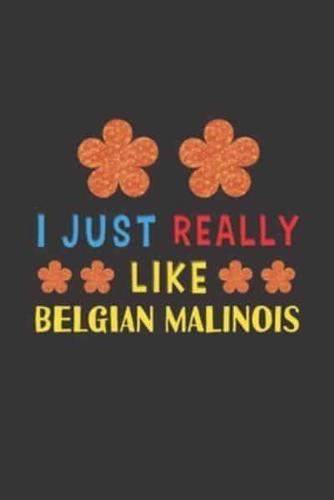 I Just Really Like Belgian Malinois