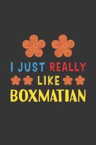 I Just Really Like Boxmatian