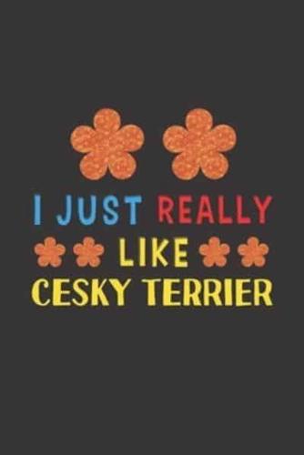 I Just Really Like Cesky Terrier
