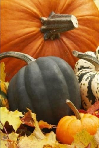 2020 Daily Planner Fall Theme Decorations Pumpkin Gourds Leaves 388 Pages