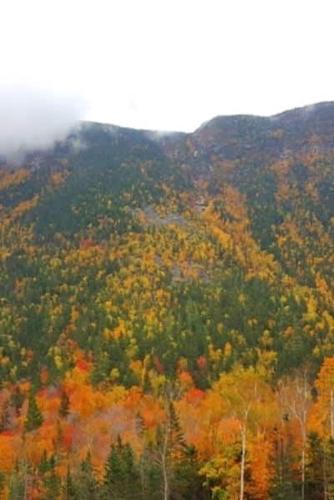 Fall Colors 2020 Daily Planner Clouds Hang Over Mountain Foliage 388 Pages