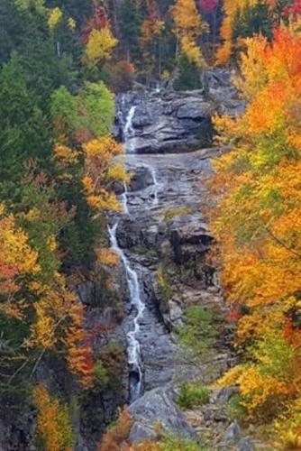 Fall Colors 2020 Daily Planner Mountain Waterfall Autumn Foliage 388 Pages
