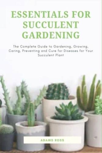 Essentials for Succulent Gardening