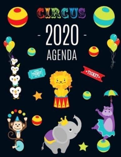 Animal De Circo Agenda 2020