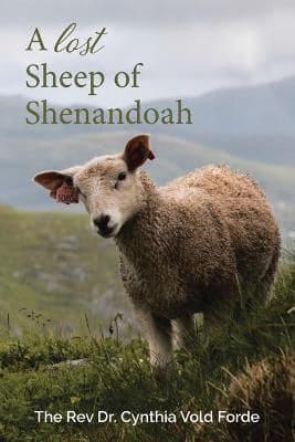 A Lost Sheep of Shenandoah: Charles Edwin Rinker of Virginia and Harry Bernard King of Iowa: Dna Reveals They Were the Same Man