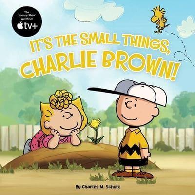 It's the Small Things, Charlie Brown!
