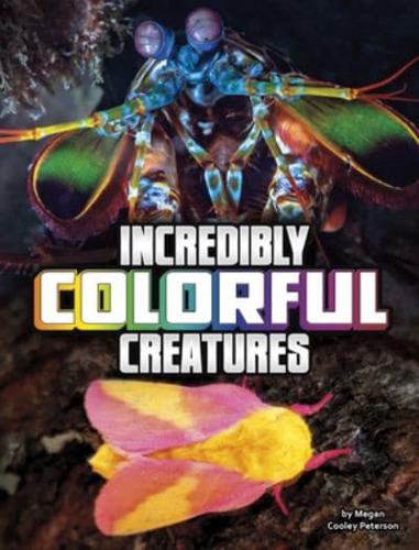 Incredibly Colorful Creatures