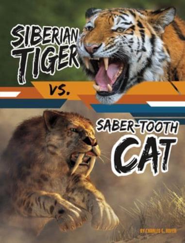 Siberian Tiger Vs. Saber-Tooth Cat