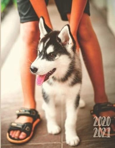 Daily Planner 2020-2021 Husky Dog 15 Months Gratitude Hourly Appointment Calendar