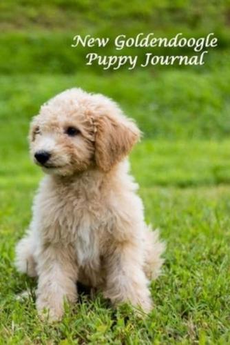 New Goldendoogle Puppy Journal