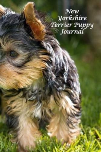 New Yorkshire Terrier Puppy Journal