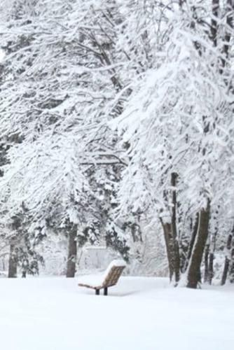 Leise Rieselt Der Schnee Notizbuch