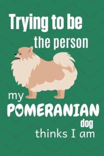 Trying to Be the Person My Pomeranian Dog Thinks I Am