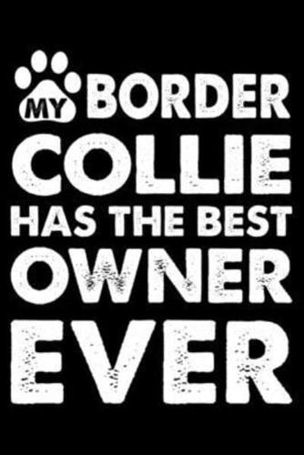 My Border Collie Has The Best Owner Ever