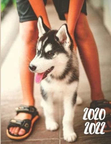 2020-2022 Three 3 Year Planner Husky Dog Monthly Calendar Gratitude Agenda Schedule Organizer