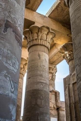 Column at Temple of Horus (Edfu) Journal
