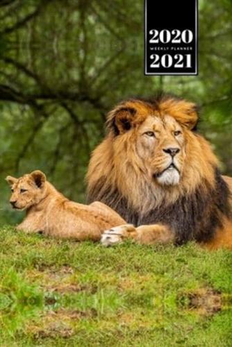 Lion Week Planner Weekly Organizer Calendar 2020 / 2021 - Father and Son