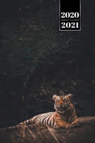 Tiger Week Planner Weekly Organizer Calendar 2020 / 2021 - Glittering Light