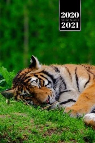 Tiger Week Planner Weekly Organizer Calendar 2020 / 2021 - Short Nap