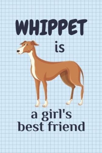 Whippet Is a Girl's Best Friend
