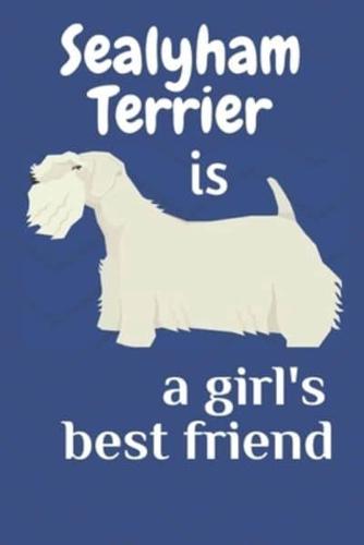 Sealyham Terrier Is a Girl's Best Friend