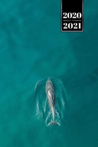 Dolphin Beluga Whale Porpoise Dolphinfish Week Planner Weekly Organizer Calendar 2020 / 2021 - Gliding Over Water