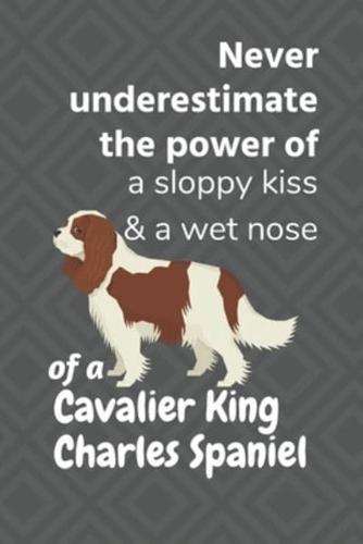 Never Underestimate the Power of a Sloppy Kiss & A Wet Nose of a Cavalier King Charles Spaniel
