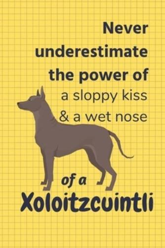 Never Underestimate the Power of a Sloppy Kiss & A Wet Nose of a Xoloitzcuintli