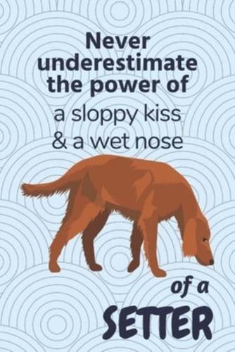 Never Underestimate the Power of a Sloppy Kiss & A Wet Nose of a Setter