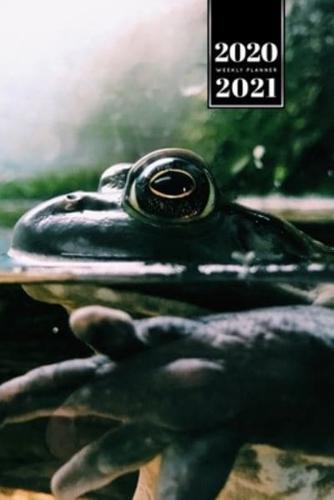 Frog Toad Week Planner Weekly Organizer Calendar 2020 / 2021 - Swimming on Lake