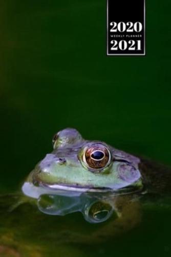 Frog Toad Week Planner Weekly Organizer Calendar 2020 / 2021 - Head Out of Water