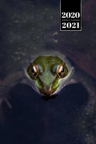 Frog Toad Week Planner Weekly Organizer Calendar 2020 / 2021 - Luminous Eyes